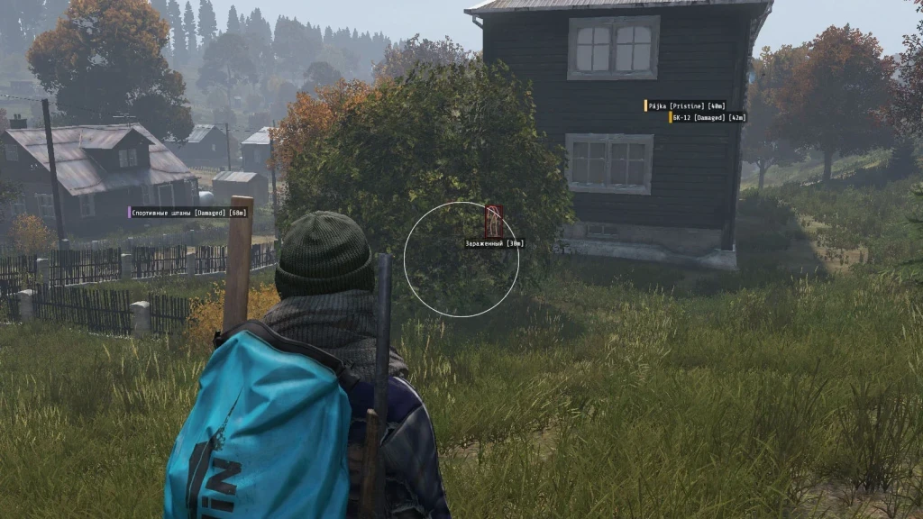 DayZ │PHOENIX