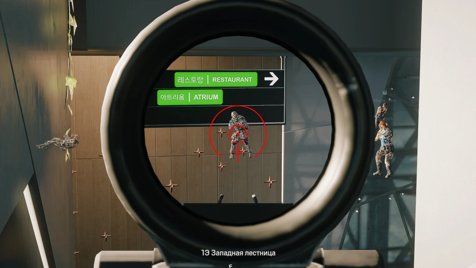 R6 │ CHAMS