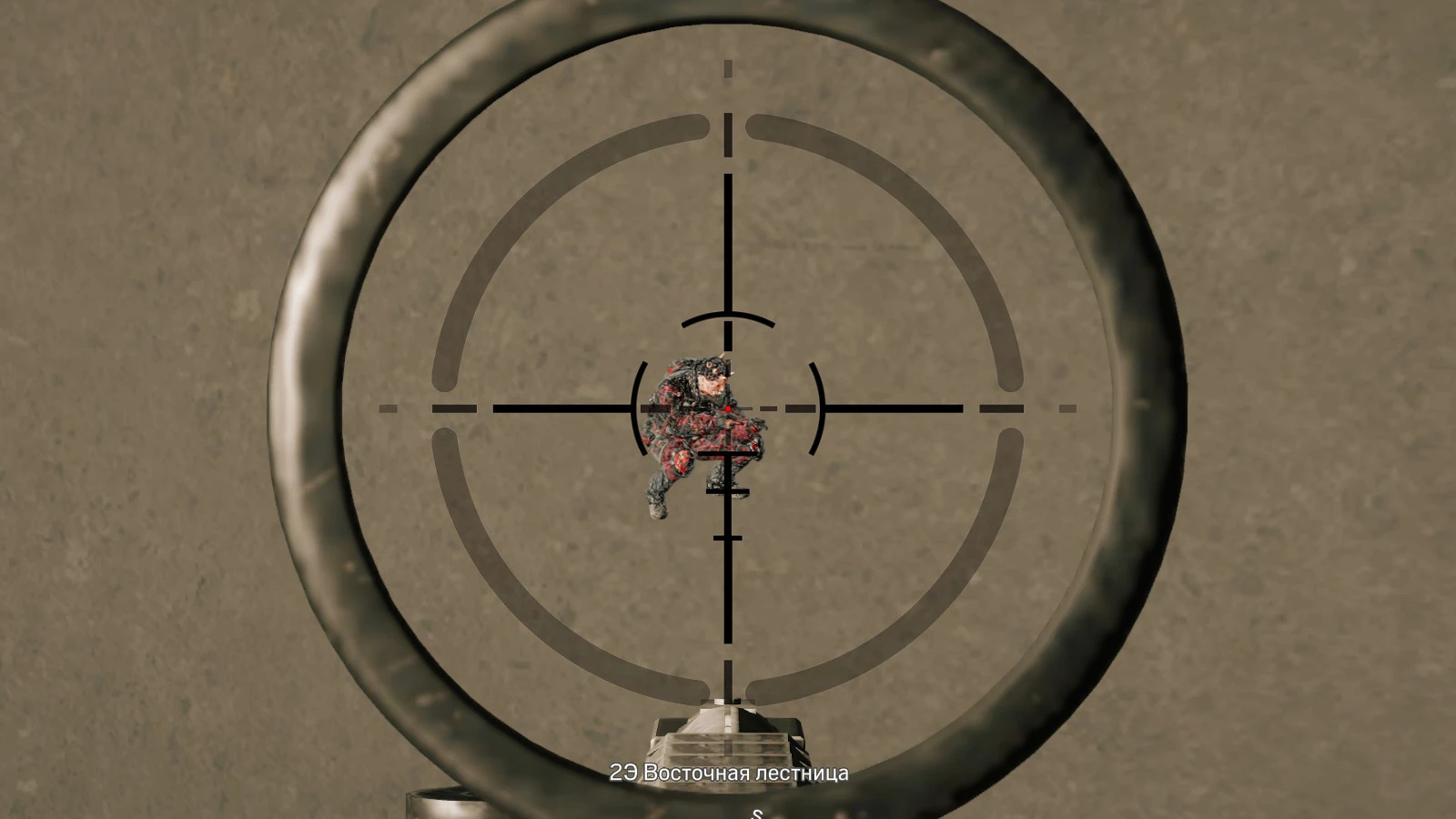 R6 │ CHAMS