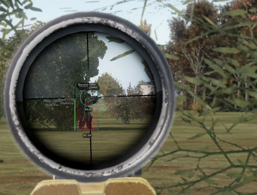 DayZ │ ARCANE