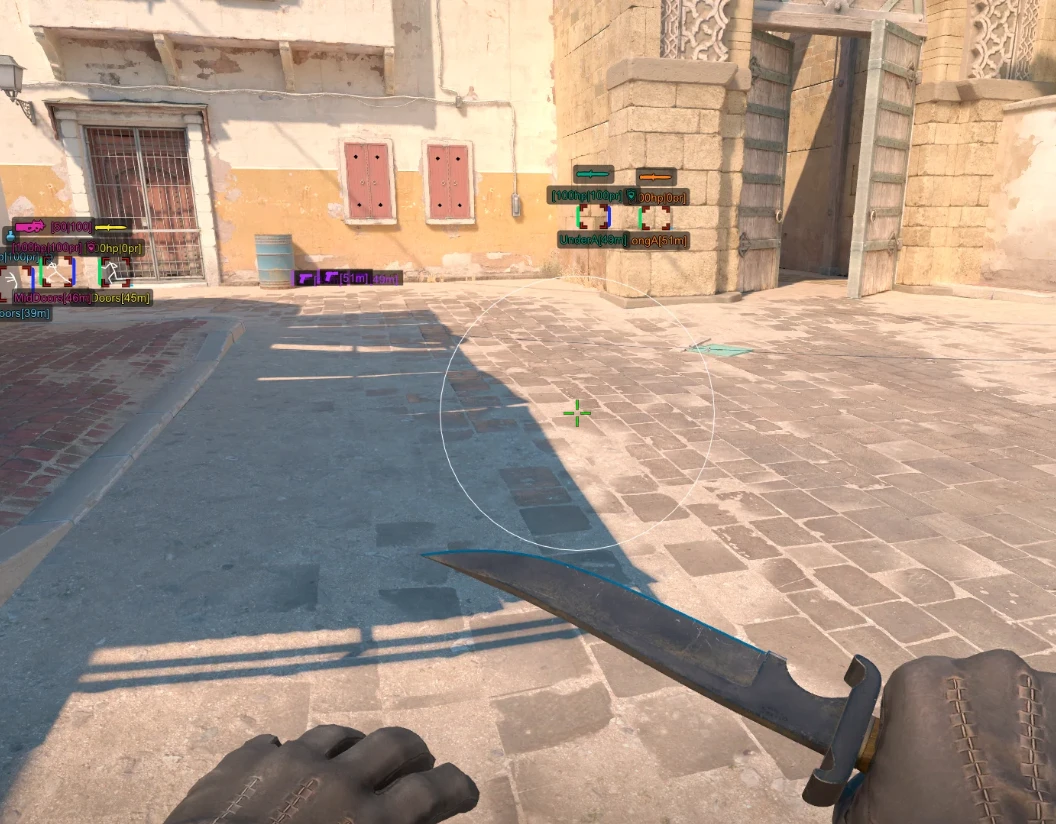 Counter-Strike 2 │ ARCANE