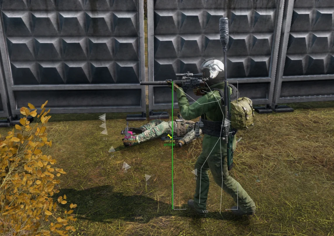 DayZ │ MEMEZ