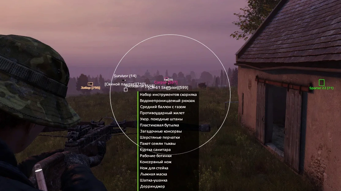 DayZ │ DULLWAVE